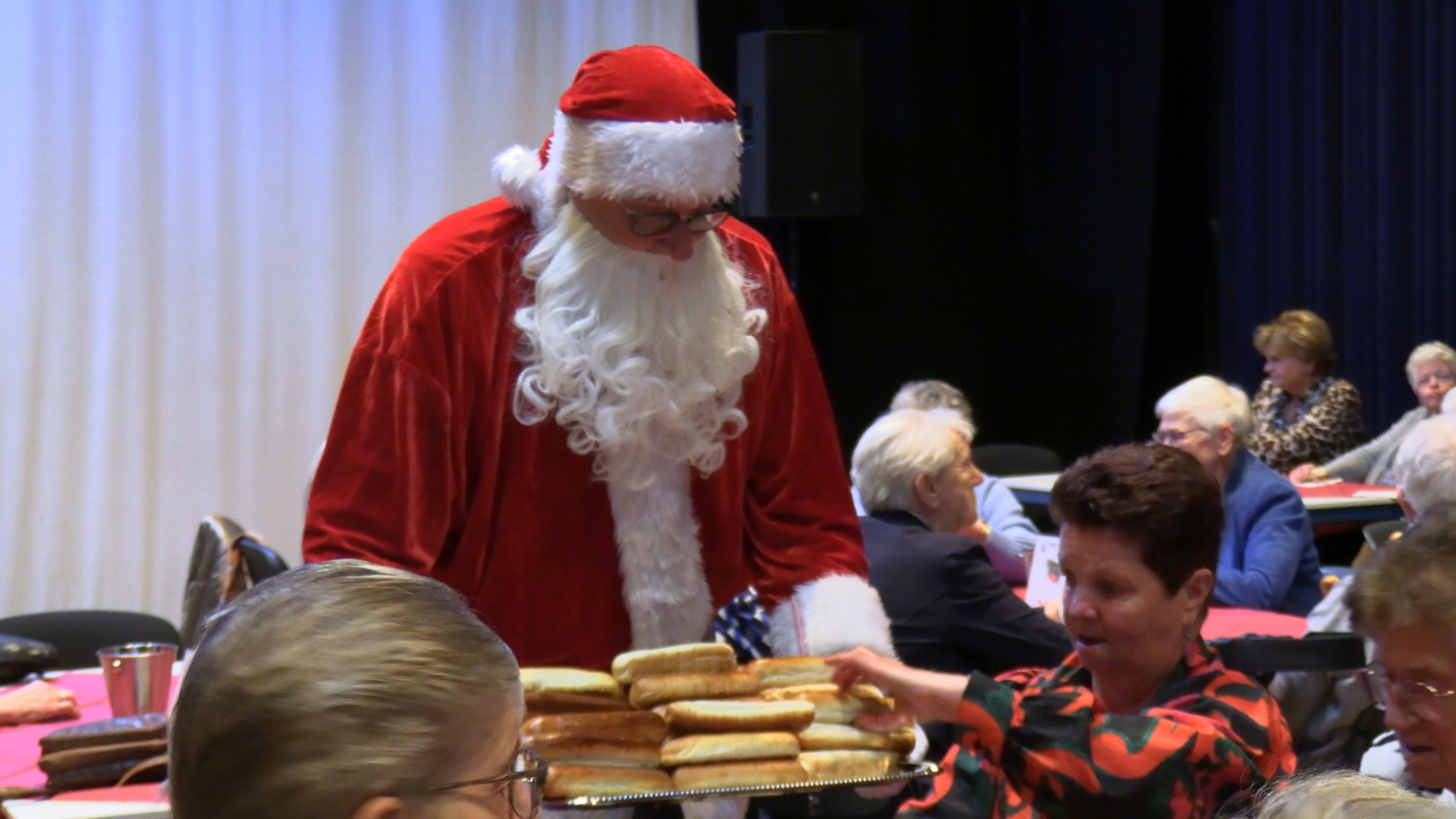 7b IMG 1482