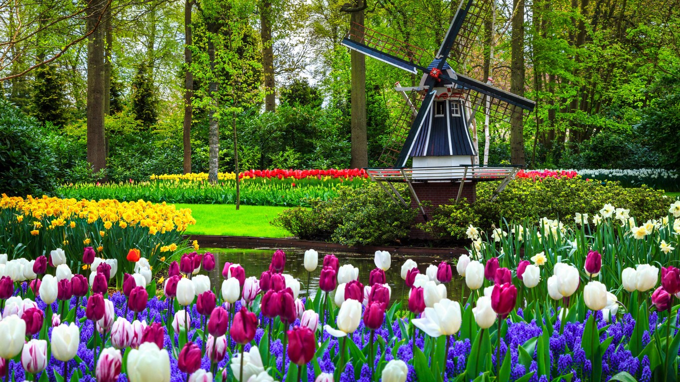 Keukenhof-garden Middel