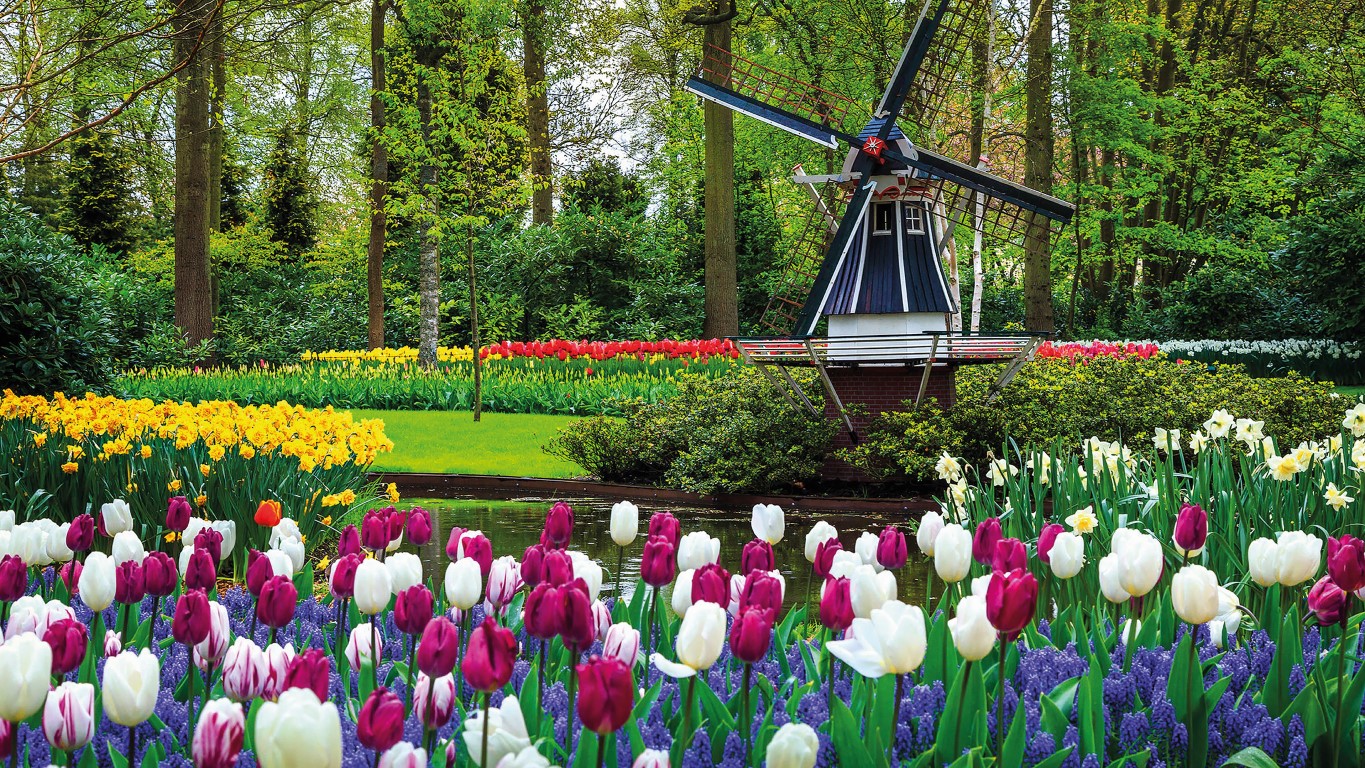 Keukenhof-garden Def Middel