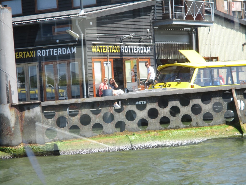 IMG 3060 Middel