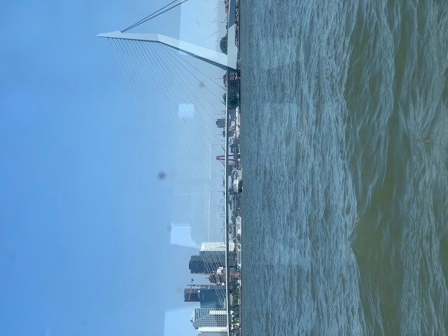 IMG 3842 Middel
