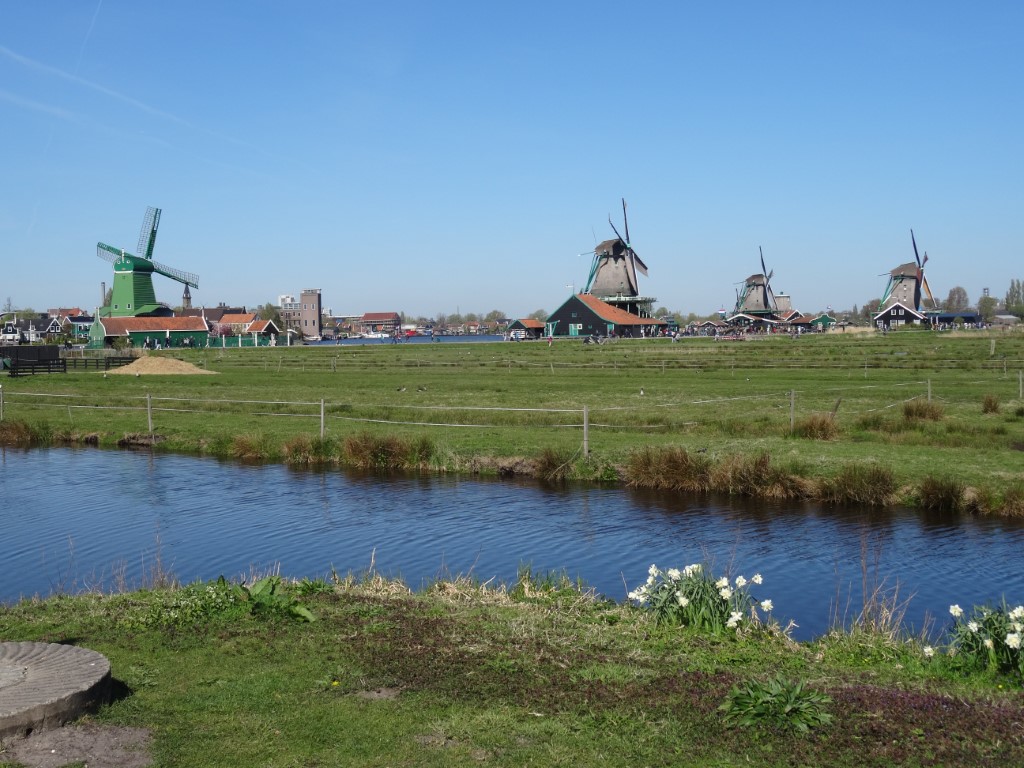 DSC07299 Middel