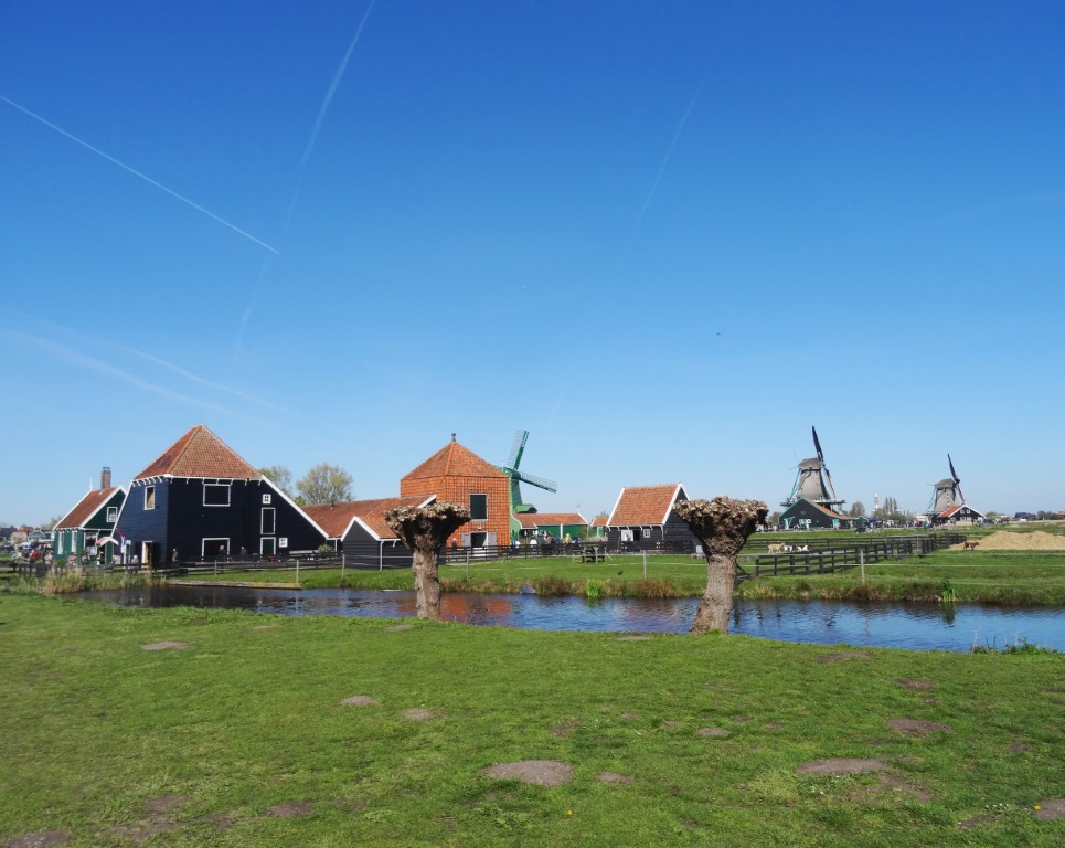 DSC07303 Middel