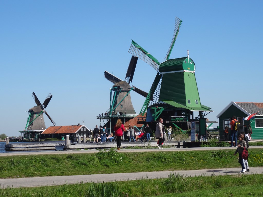 DSC07313 Middel