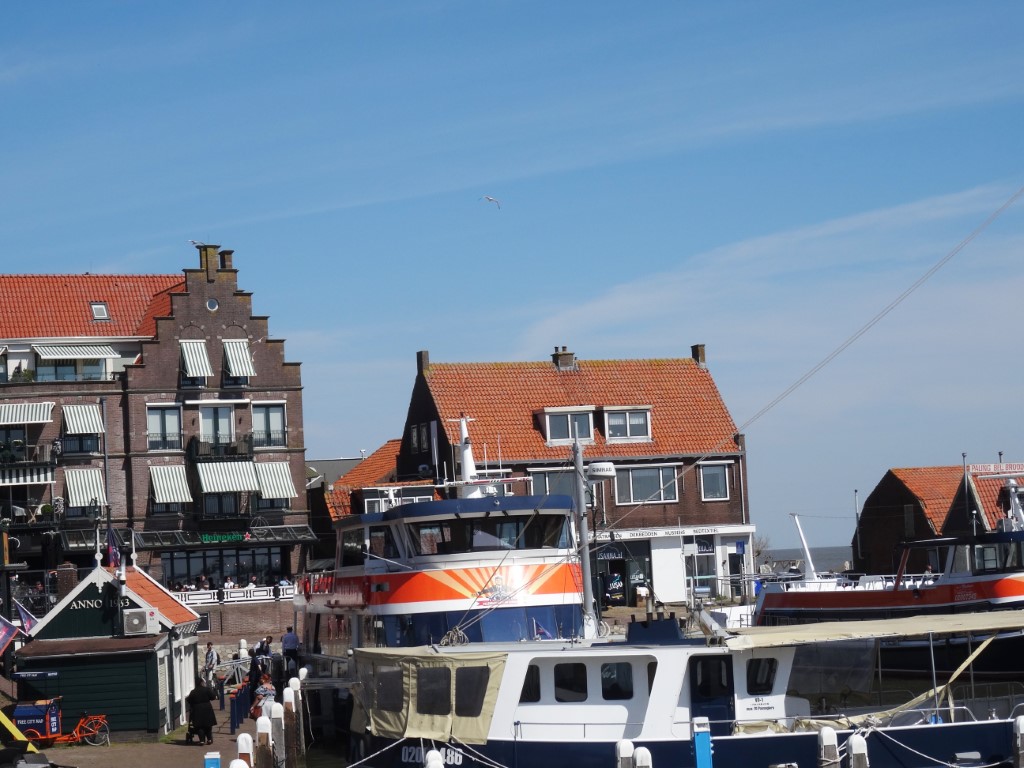 DSC07339 Middel