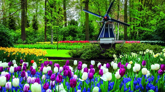 Keukenhof garden Def