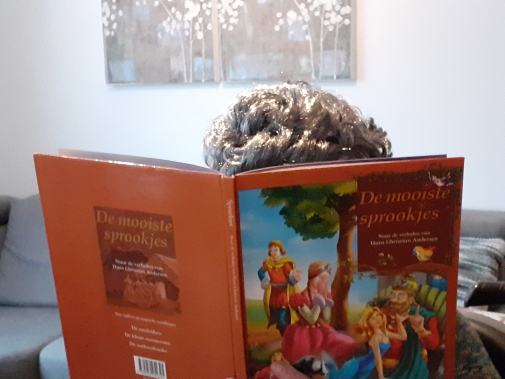 Voorstelling "Leven met oma"
