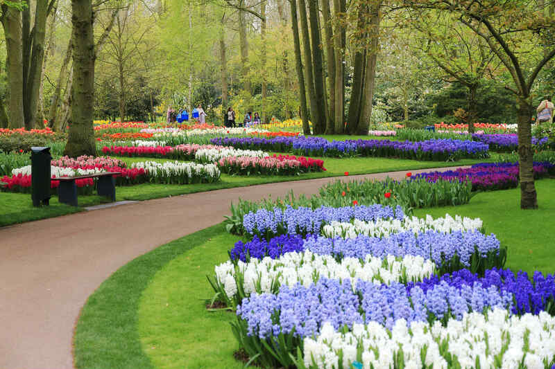 Keukenhof - 18 april 2023