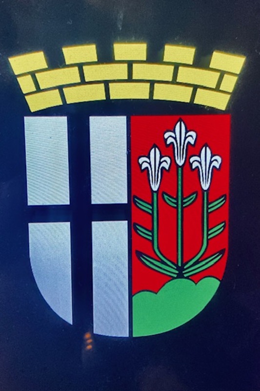 01 stadswapen van Fulda